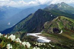 Economia e cultura materiale della popolazione del Caucaso Tipi di attività economiche nel Caucaso