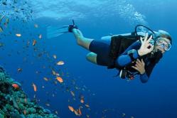 Perché sogni l'attrezzatura subacquea? Perché sogni l'attrezzatura subacquea secondo il libro dei sogni?